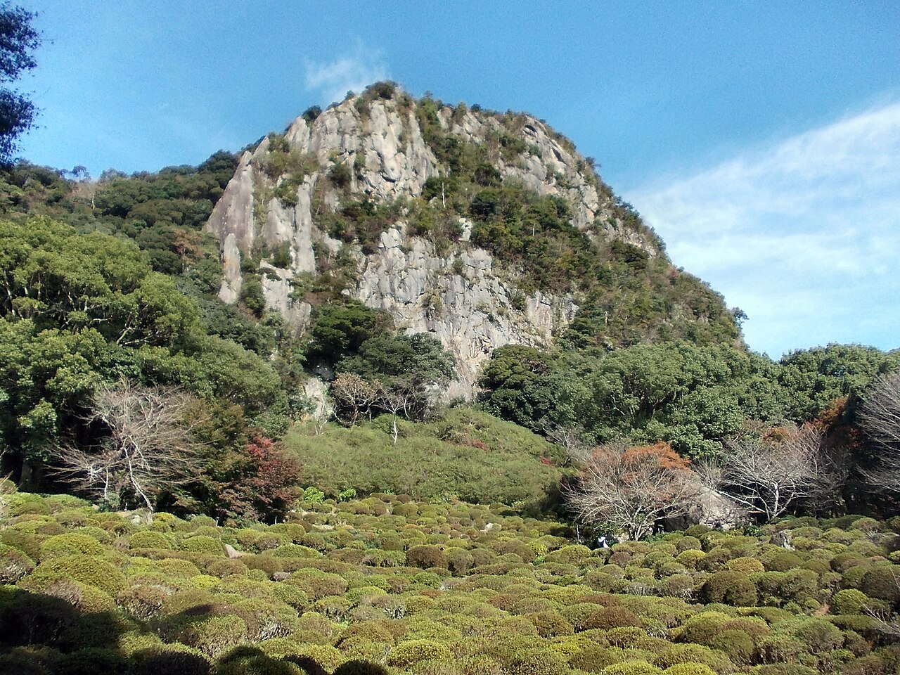 御船山楽園の別アングルを確認できる実写写真 2