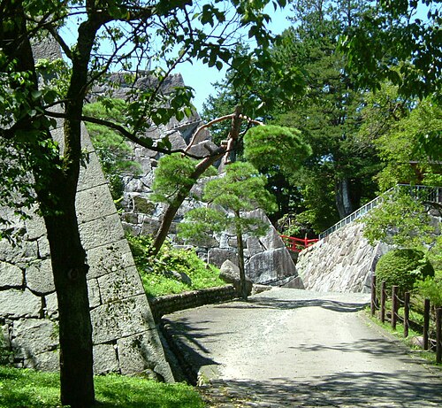 盛岡城跡公園の別アングルを確認できる実写写真 2