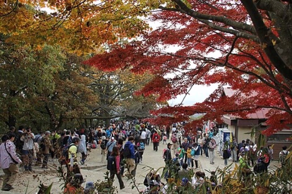 高尾山の別アングルを確認できる実写写真 1