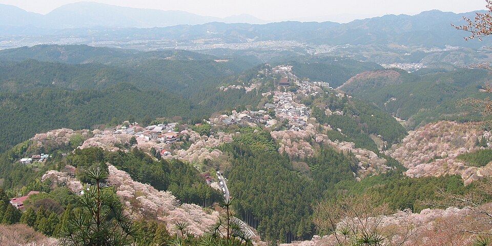 吉野山の別アングルを確認できる実写写真 1