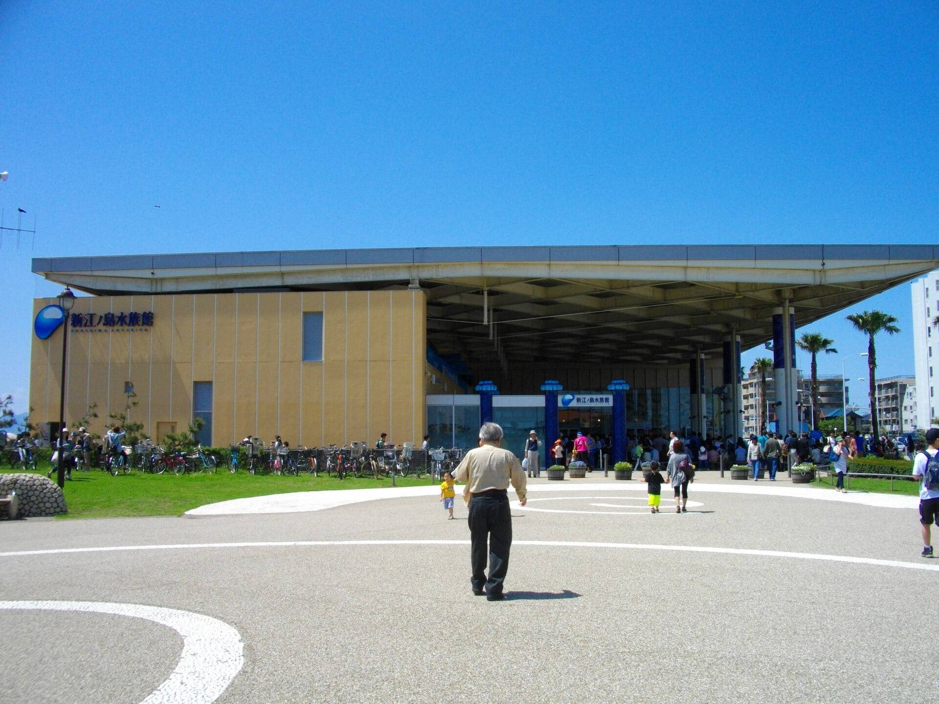 片瀬海岸側から見た新江ノ島水族館の建物と入口を写した実写写真