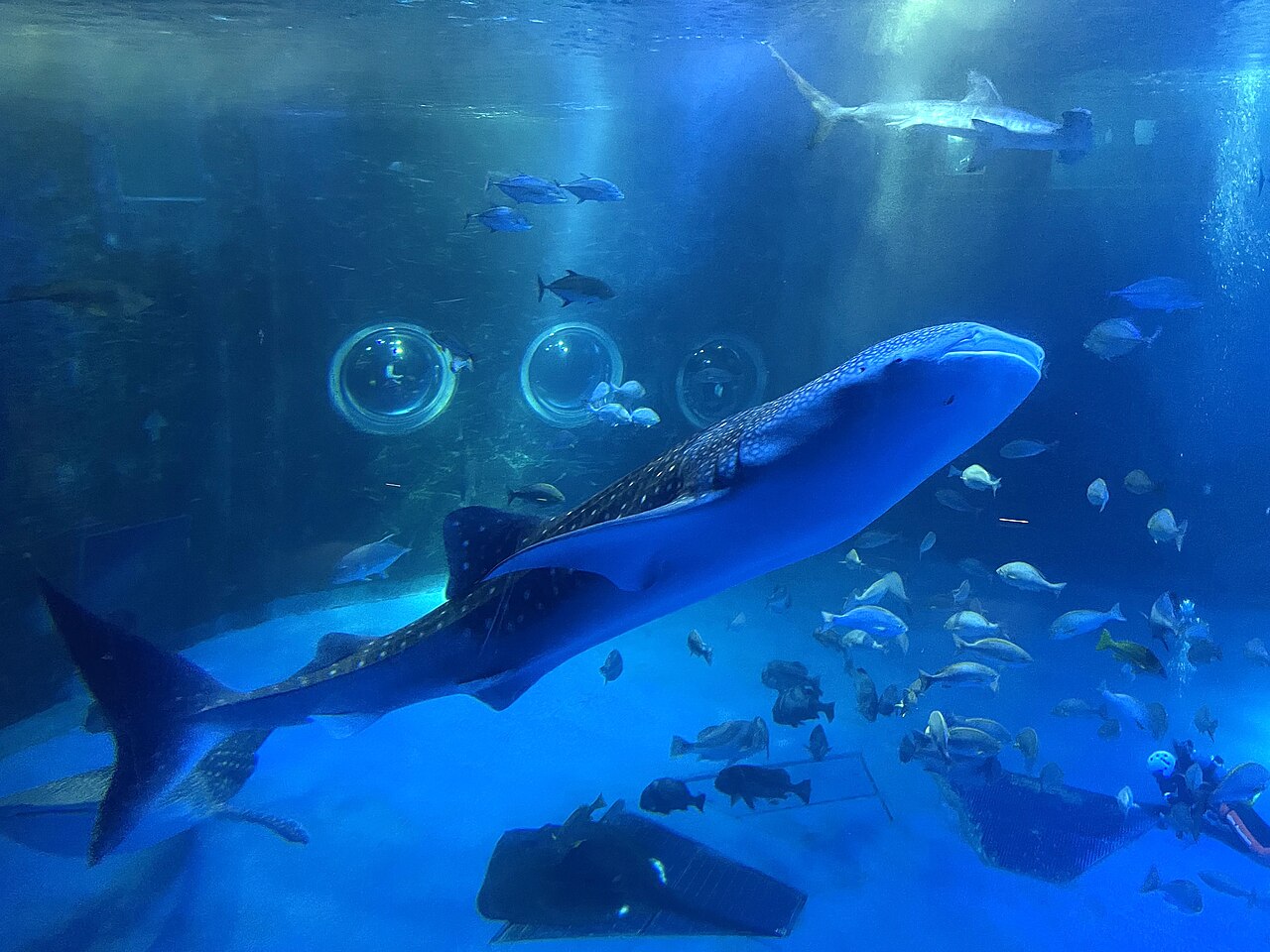 のとじま水族館の別アングルを確認できる実写写真 2