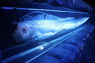 アクアワールド茨城県大洗水族館の別アングルを確認できる実写写真 2