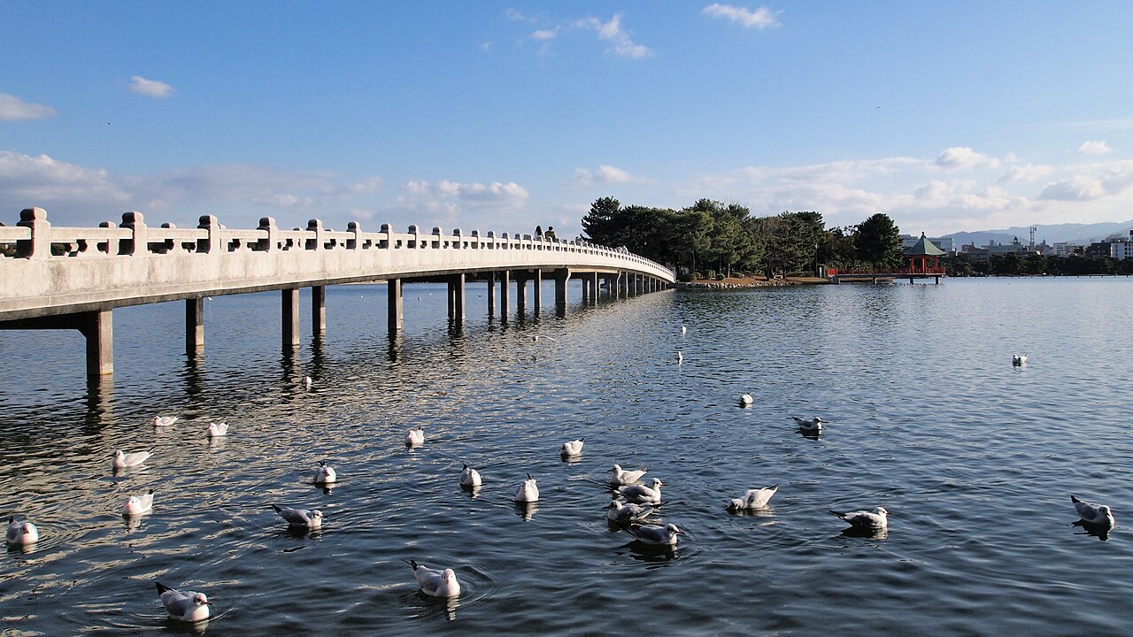 大濠公園の別アングルを確認できる実写写真 1