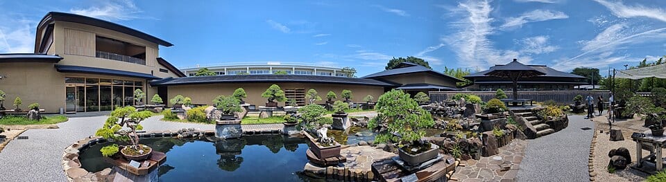 さいたま市大宮盆栽美術館の別アングルを確認できる実写写真 2