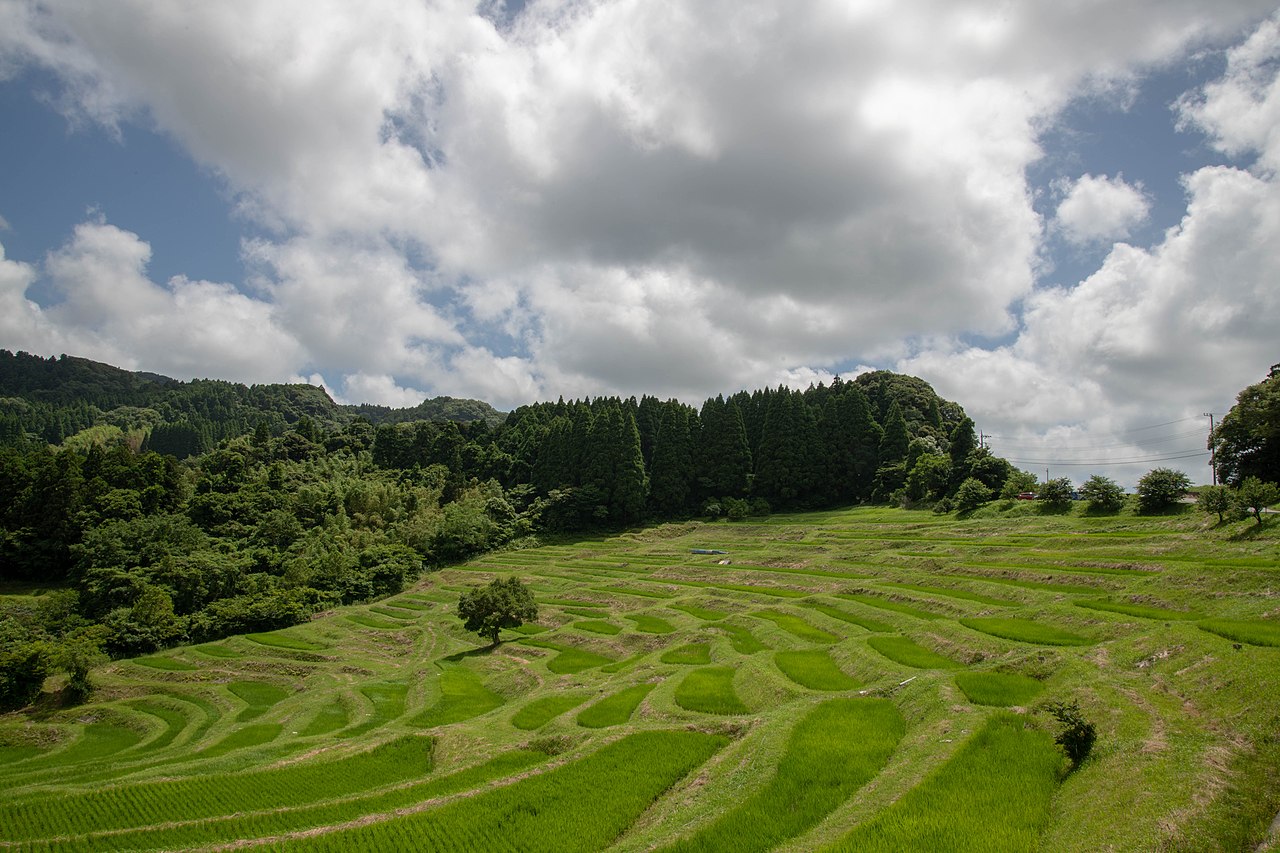 大山千枚田の別アングルを確認できる実写写真 1