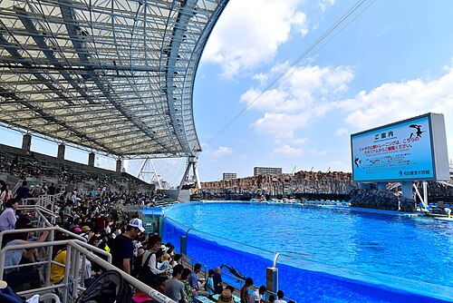 名古屋港水族館の別アングルを確認できる実写写真 1