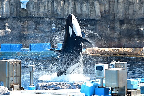 名古屋港水族館の別アングルを確認できる実写写真 2
