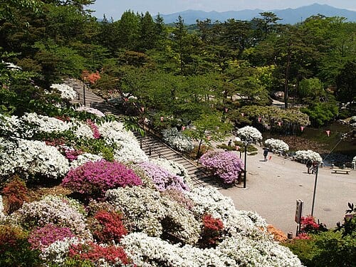 千秋公園の別アングルを確認できる実写写真 2