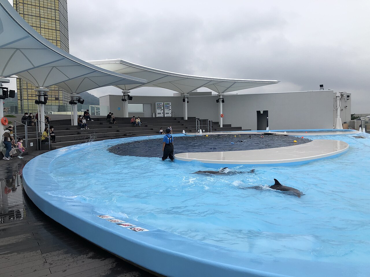 四国水族館の別アングルを確認できる実写写真 2