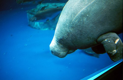 鳥羽水族館の別アングルを確認できる実写写真 1