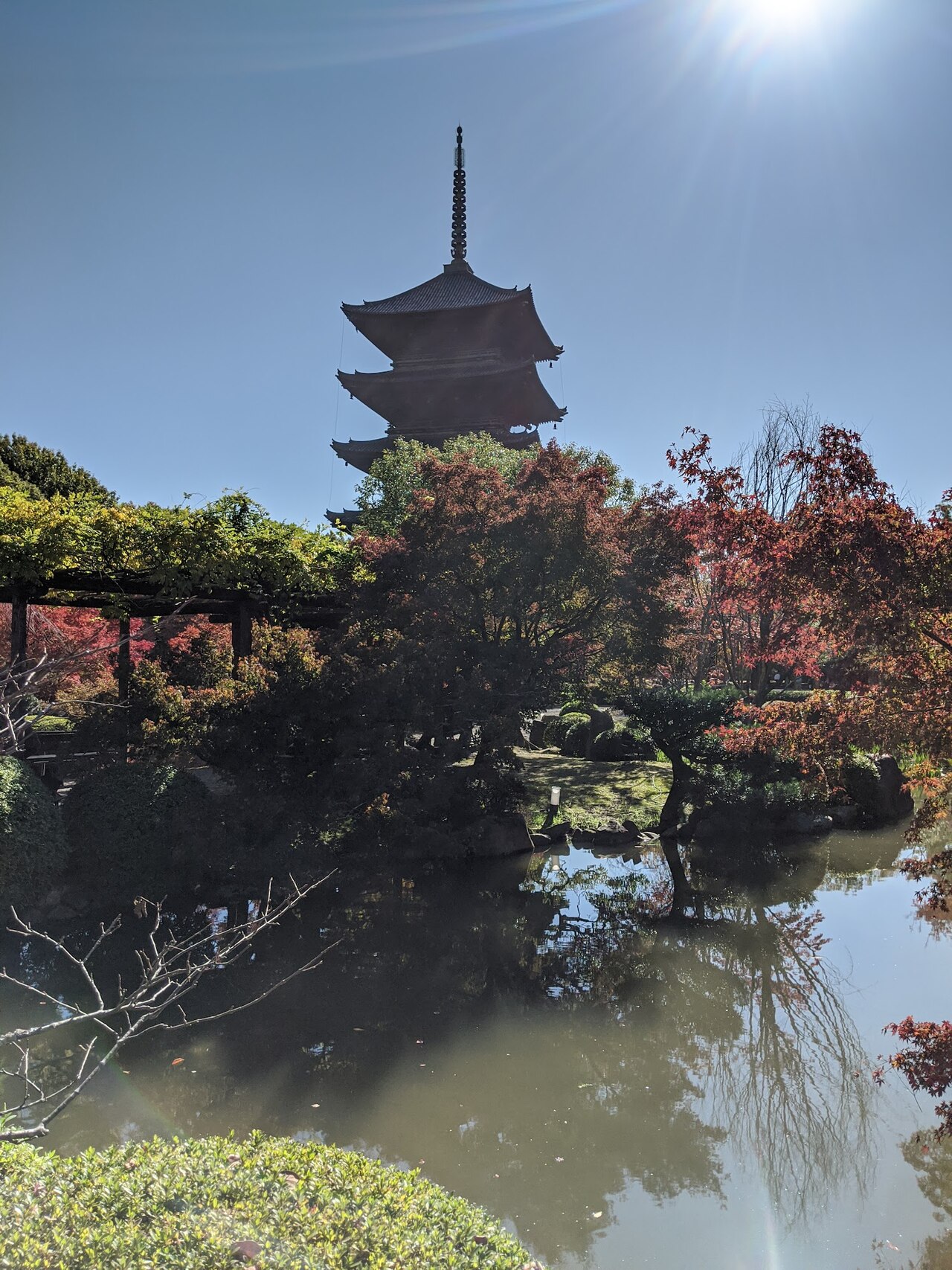 東寺の別アングルを確認できる実写写真 1