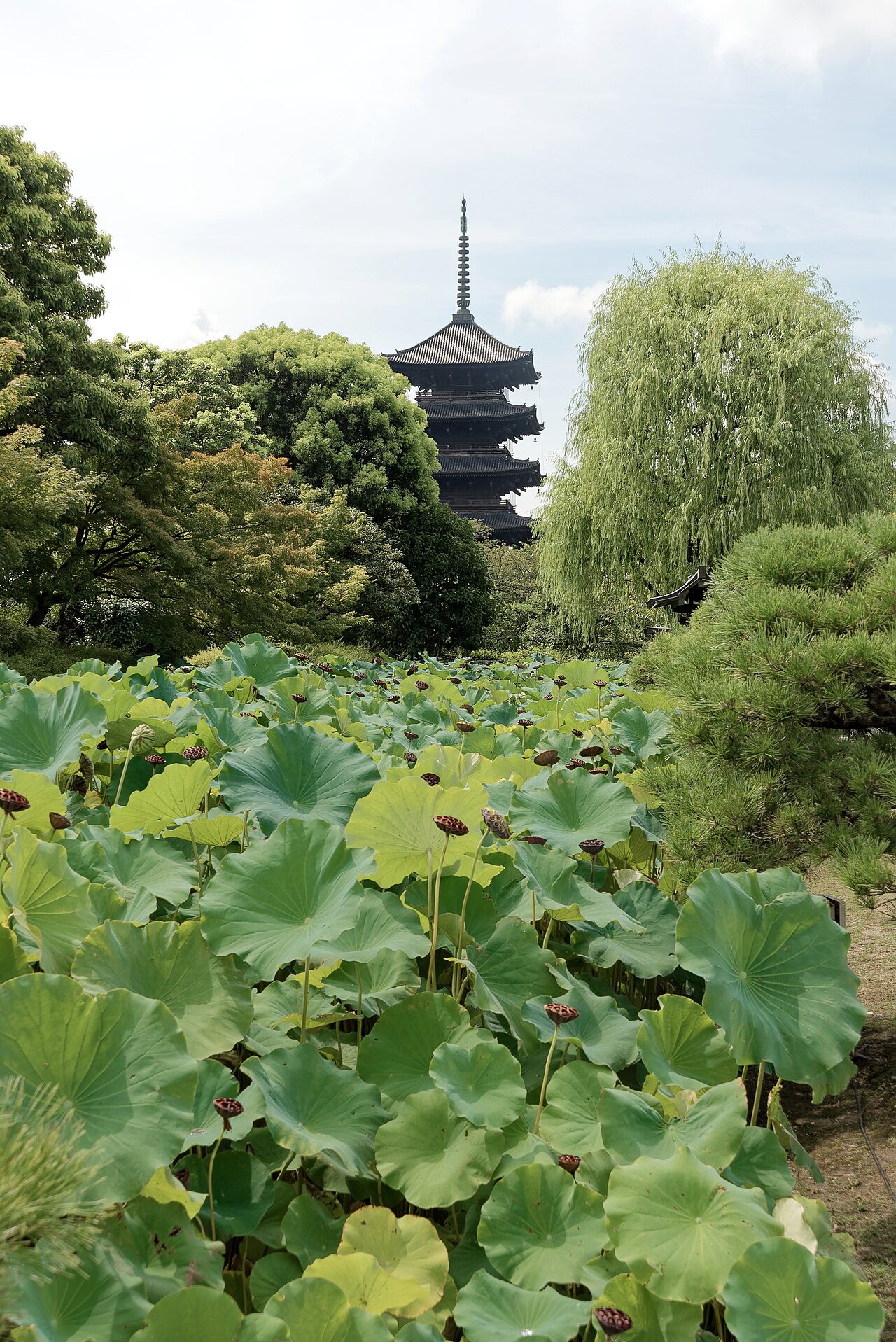 東寺の別アングルを確認できる実写写真 2