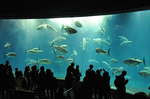 葛西臨海水族園の別アングルを確認できる実写写真 2
