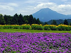 とっとり花回廊の別アングルを確認できる実写写真 2