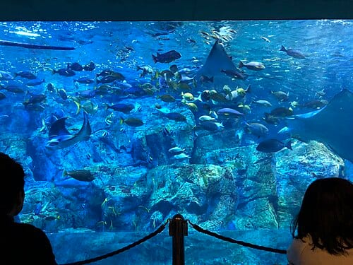 大分マリーンパレス水族館「うみたまご」の別アングルを確認できる実写写真 1