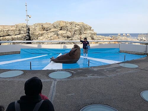 大分マリーンパレス水族館「うみたまご」の別アングルを確認できる実写写真 2