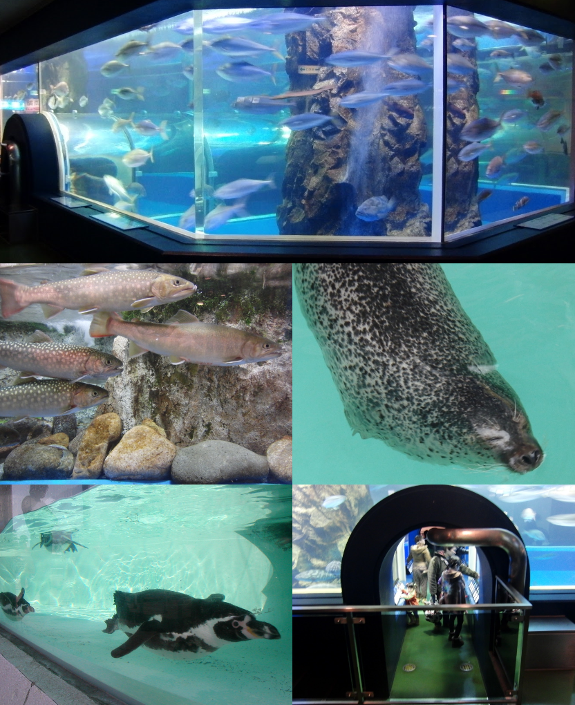 魚津水族館の別アングルを確認できる実写写真 1