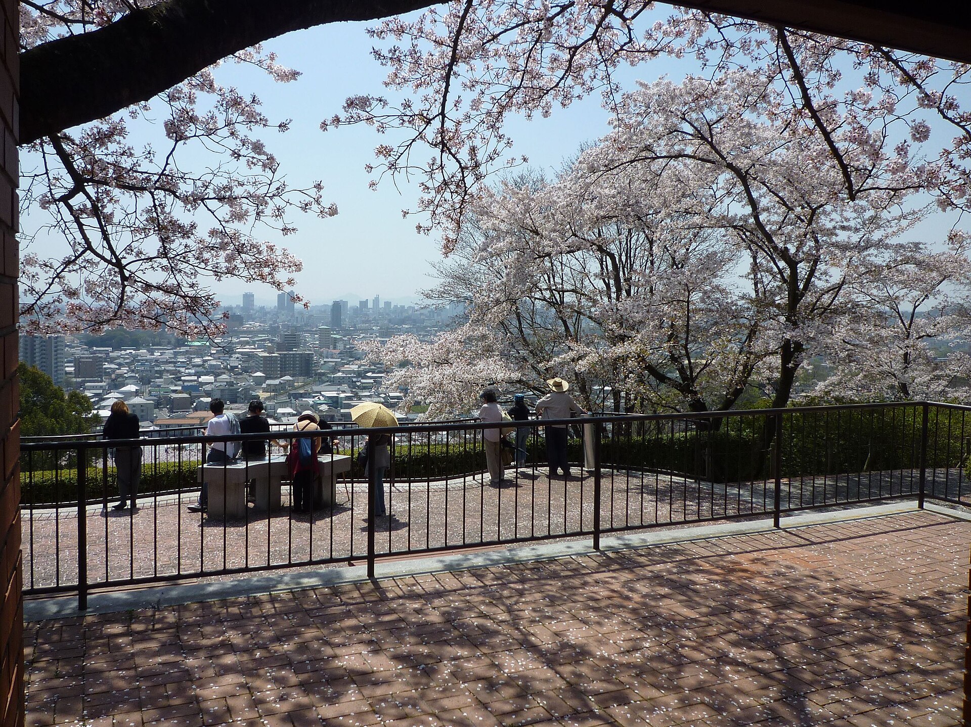 岡山市半田山植物園の実写写真。訪問前のイメージ確認用。