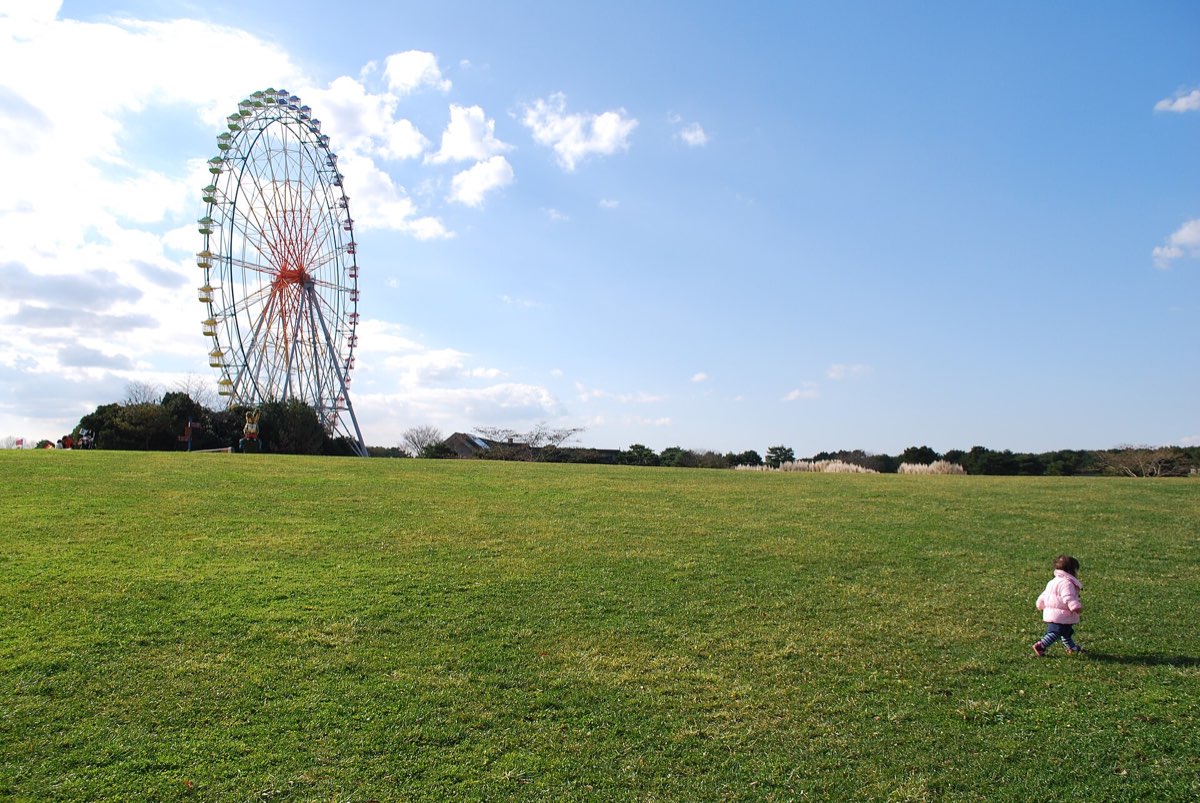 国営ひたち海浜公園の実写写真。訪問前のイメージ確認用。