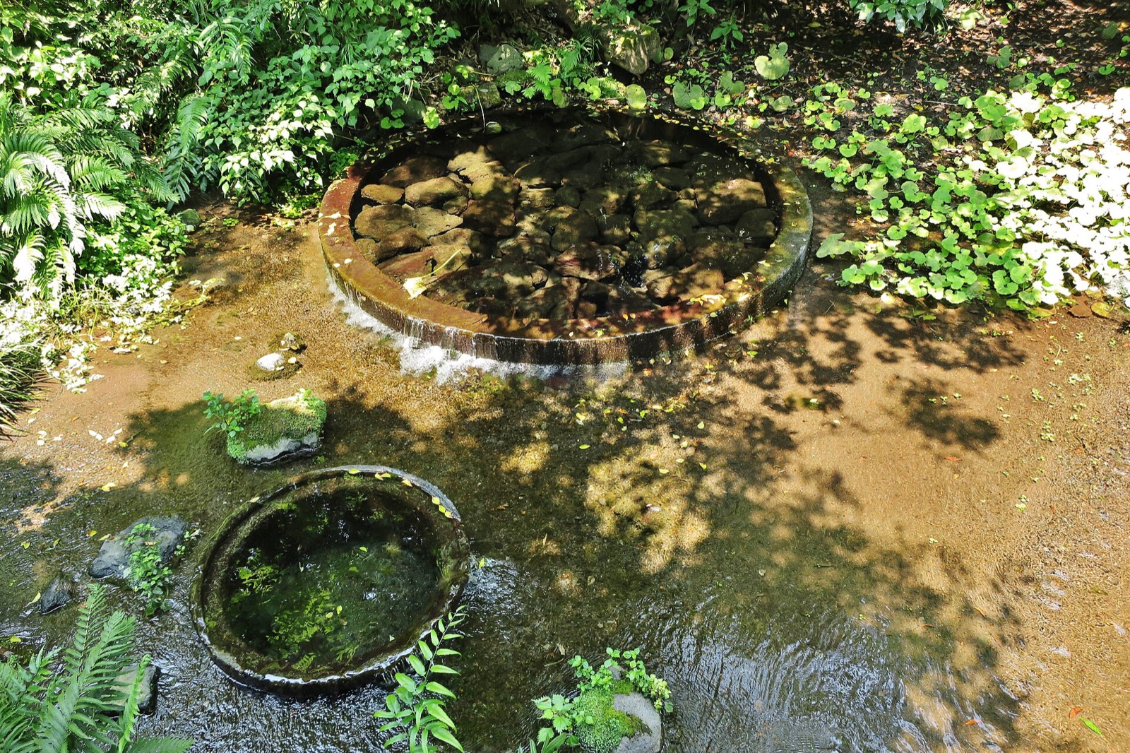 柿田川公園の湧き間の実写写真。訪問前のイメージ確認用。