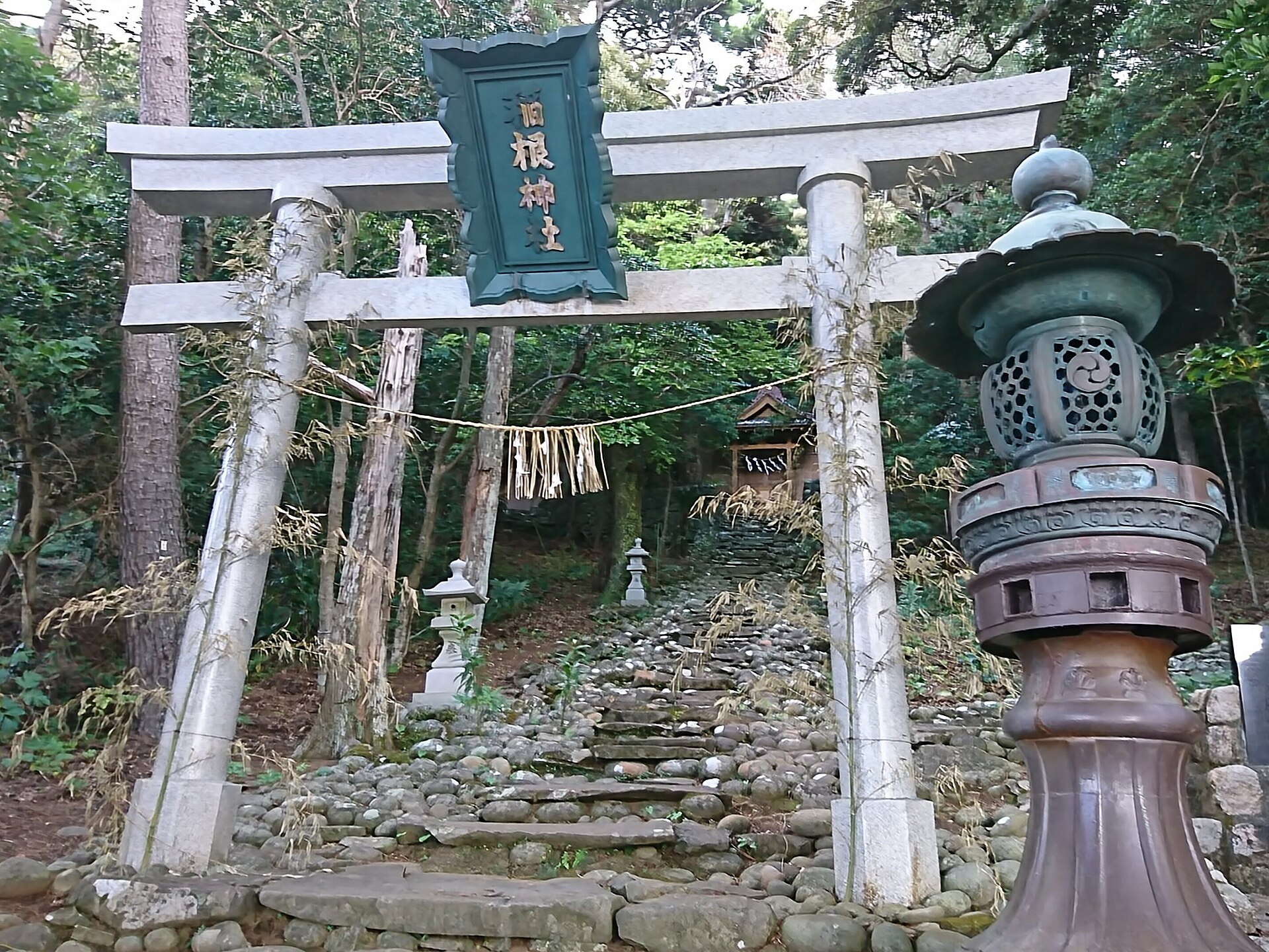 御蔵島の森にある稲根神社本殿と参道を写した実写写真