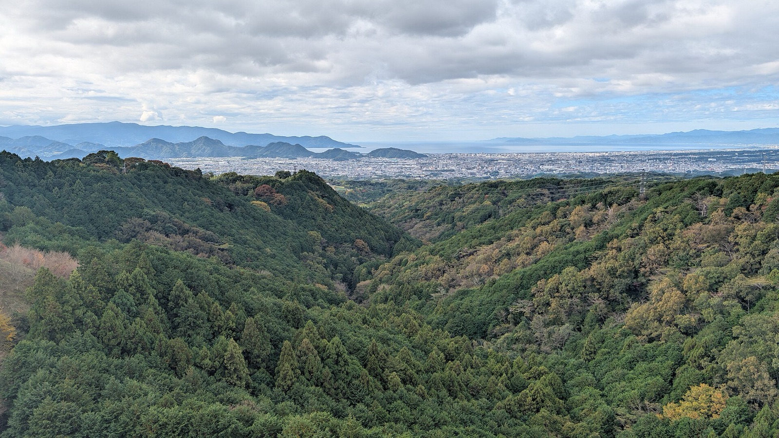 三島スカイウォークの実写写真。訪問前のイメージ確認用。