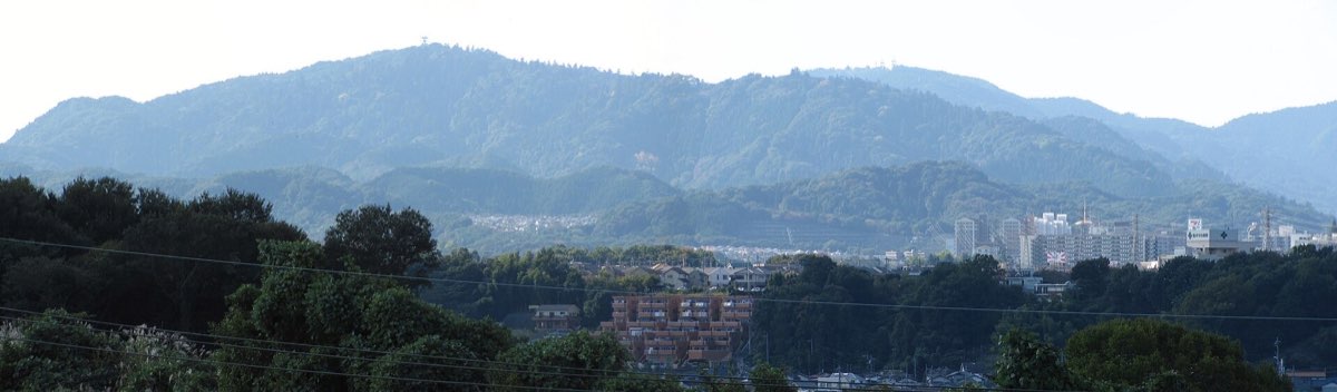 高尾山の実写写真。訪問前のイメージ確認用。