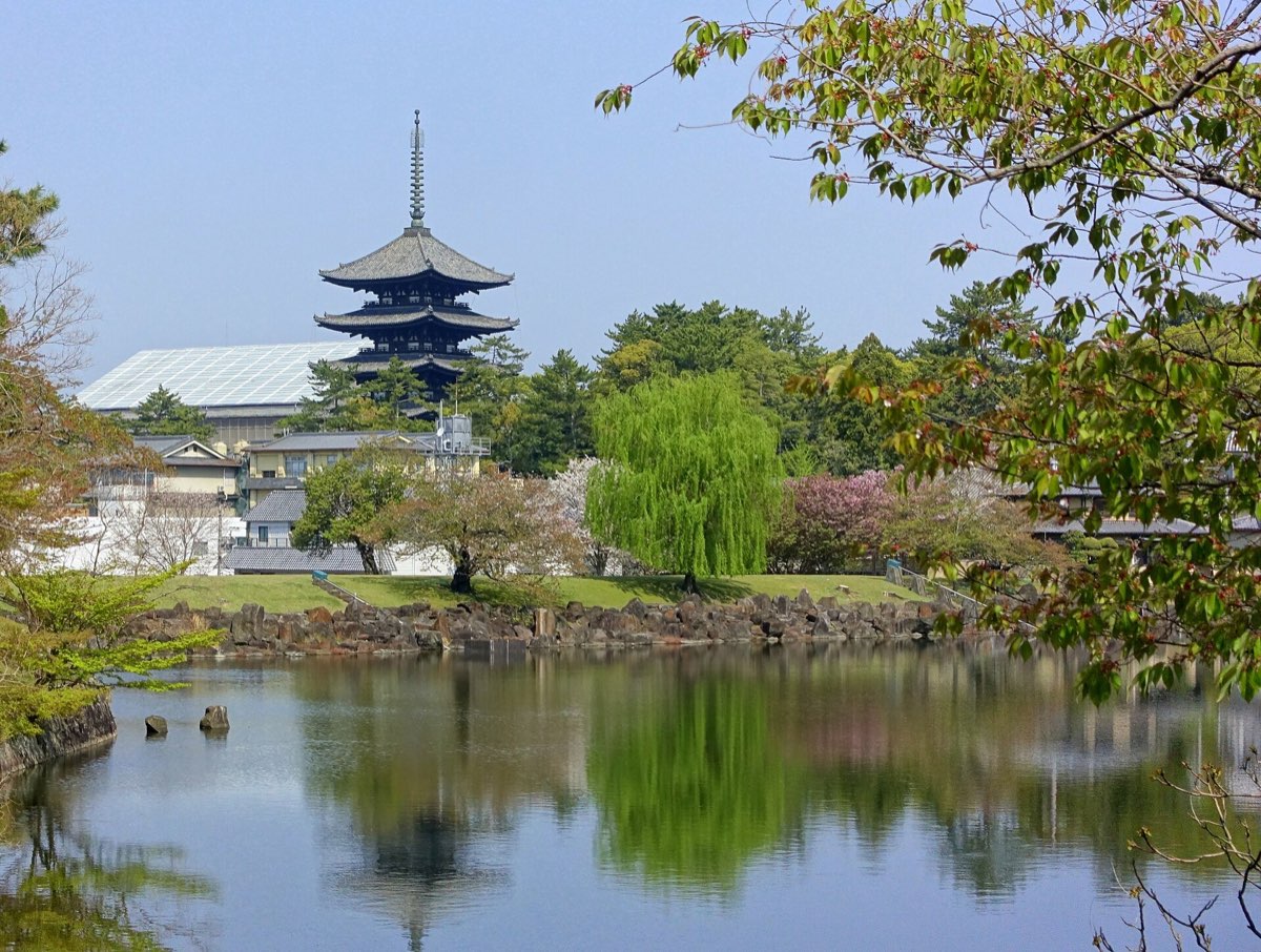 奈良公園の実写写真。訪問前のイメージ確認用。