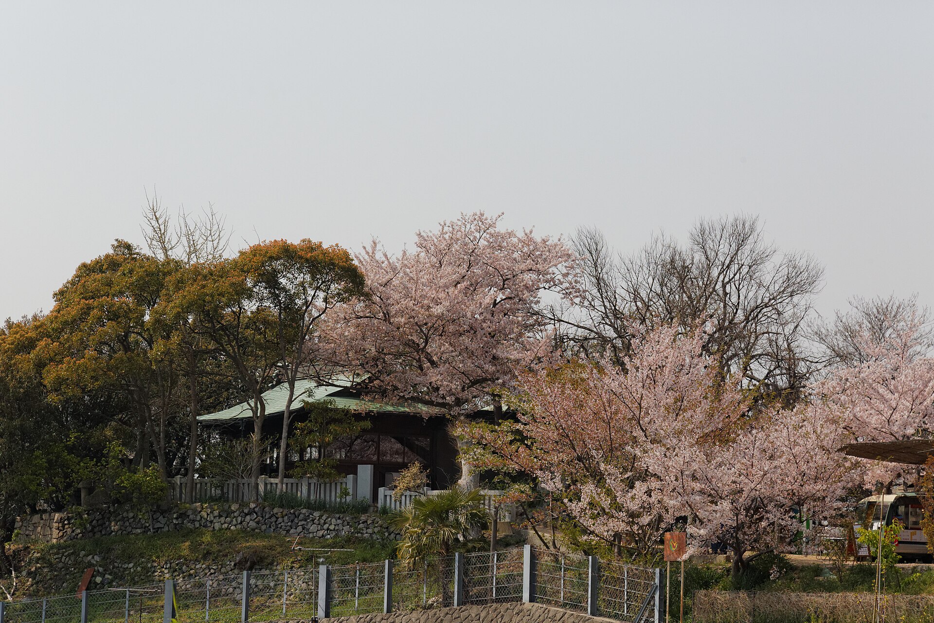 豊玉姫神社の実写写真。訪問前のイメージ確認用。