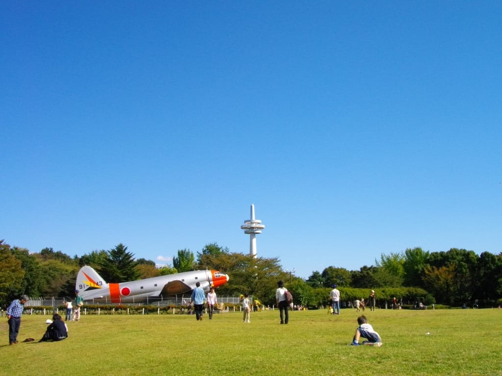 所沢航空記念公園の実写写真。訪問前のイメージ確認用。