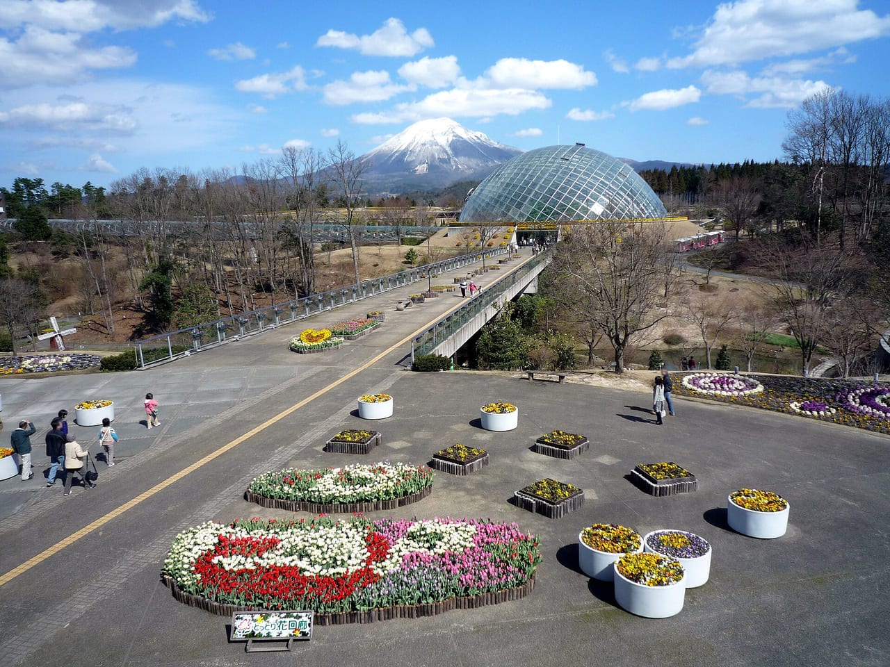 とっとり花回廊の実写写真。訪問前のイメージ確認用。